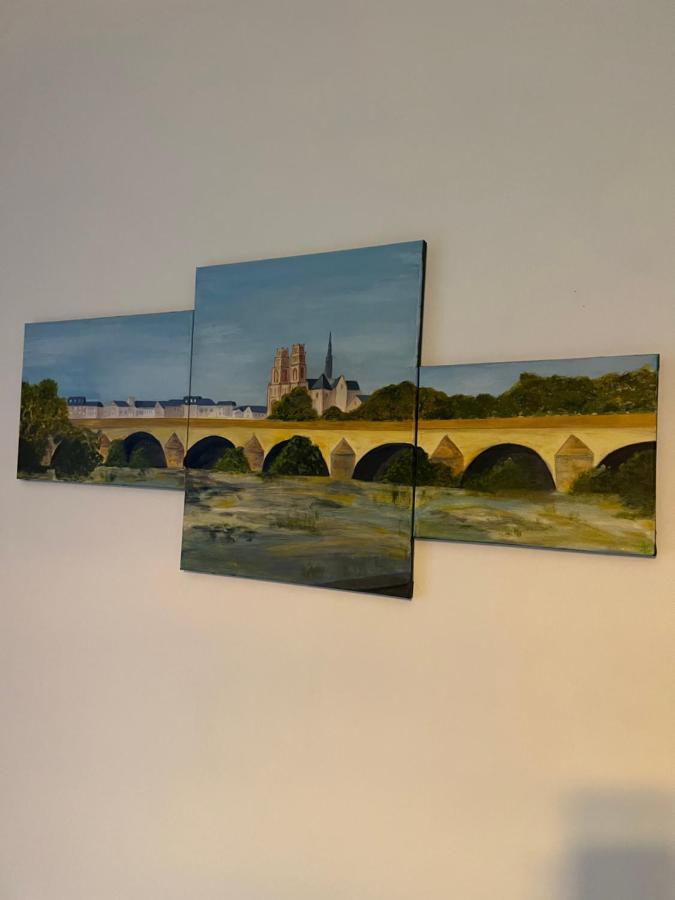 Cosy Loire, T2 Neuf, Front De Loire ,Vue Cathedrale,5Min A Pied Centre Ville Et Parking Prive Orléans Exterior foto